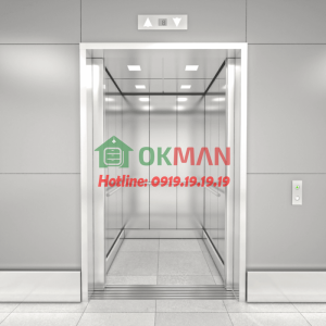 Thang máy tải khách mẫu 02