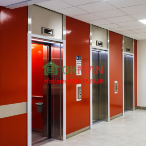 Thang máy tải khách mẫu 03