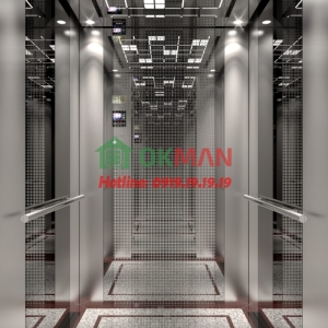 Thang máy tải khách mẫu 04