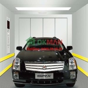 Thang máy tải xe 03